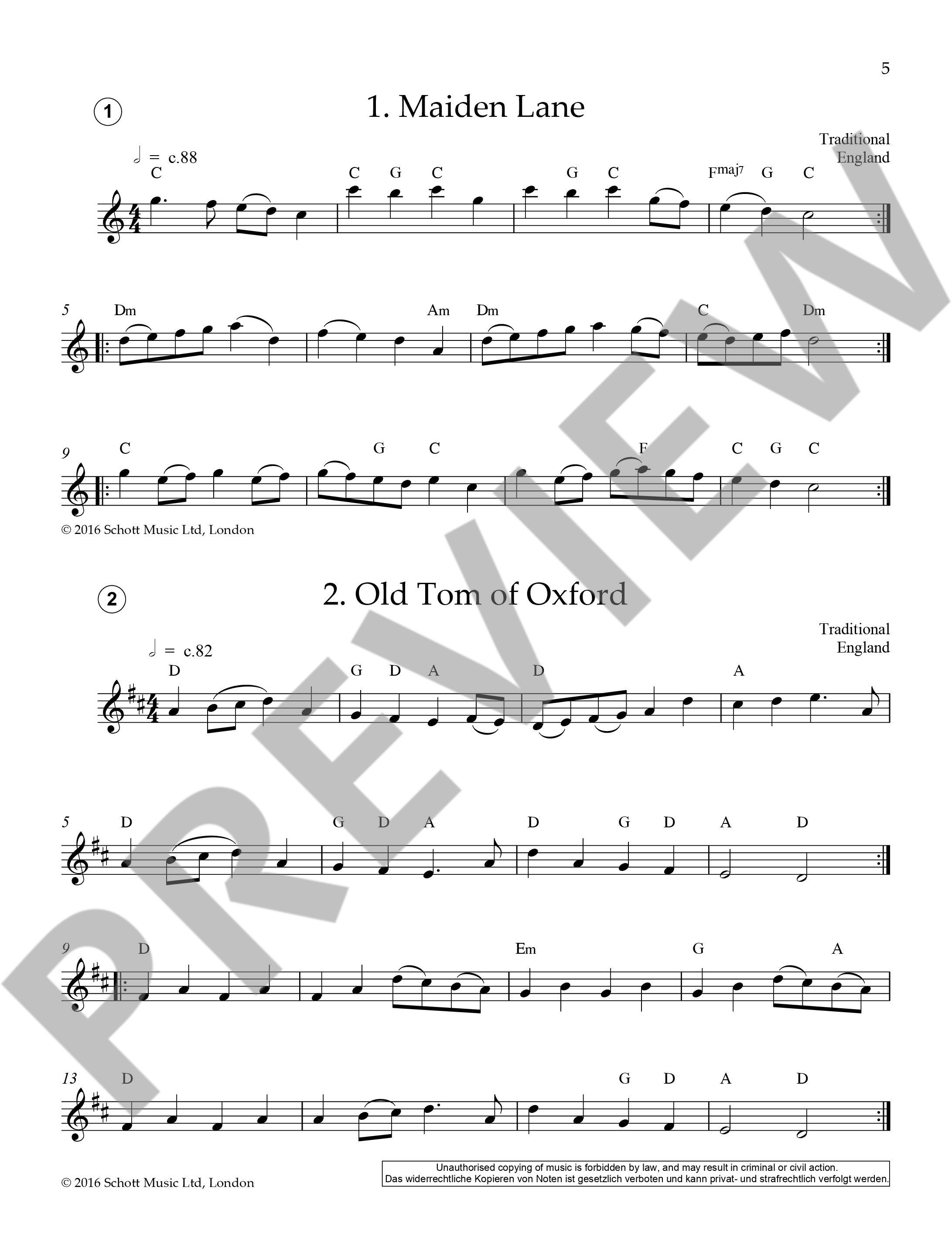 Anderes Coverbild Easy Folk Flute 