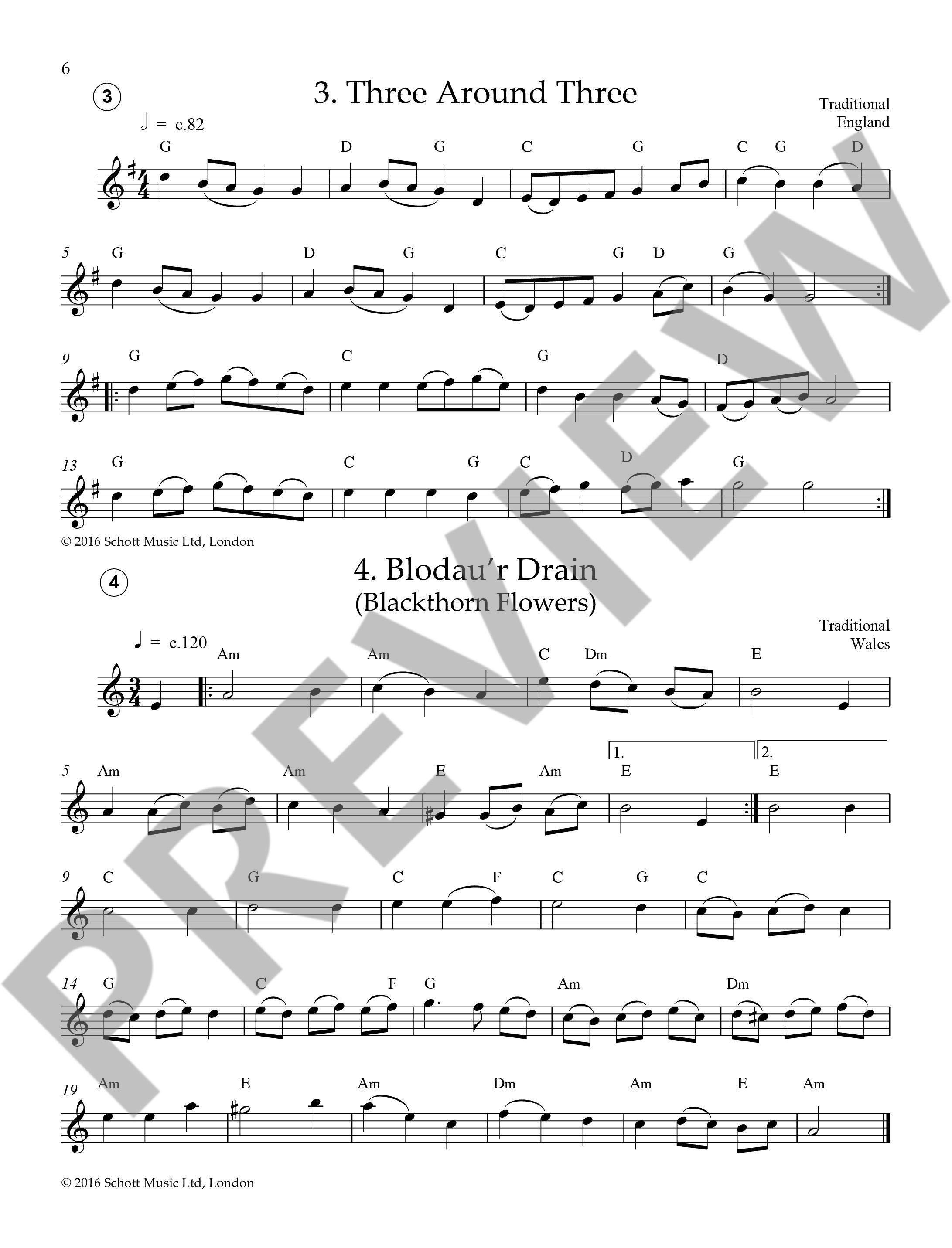 Anderes Coverbild Easy Folk Flute 