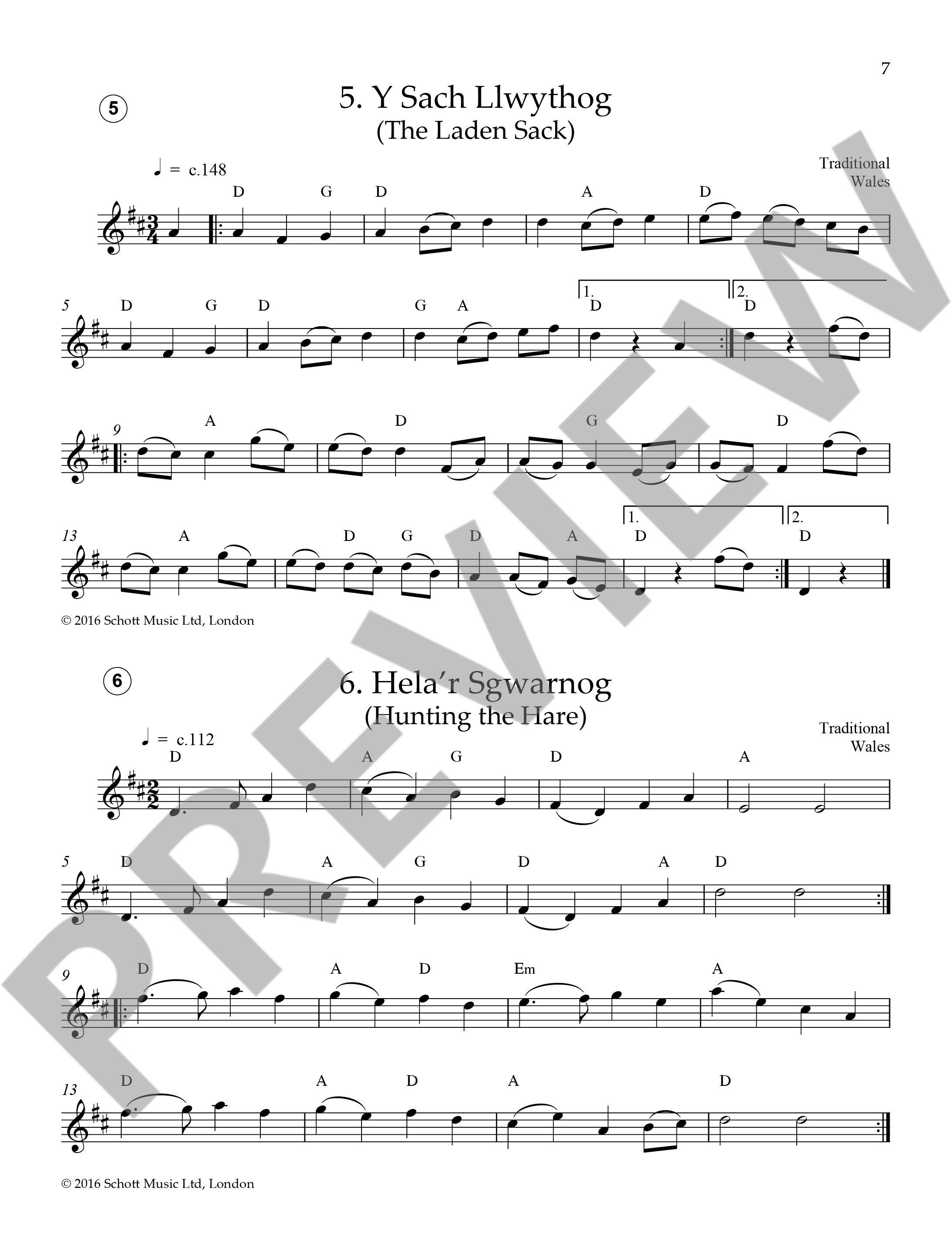 Anderes Coverbild Easy Folk Flute 