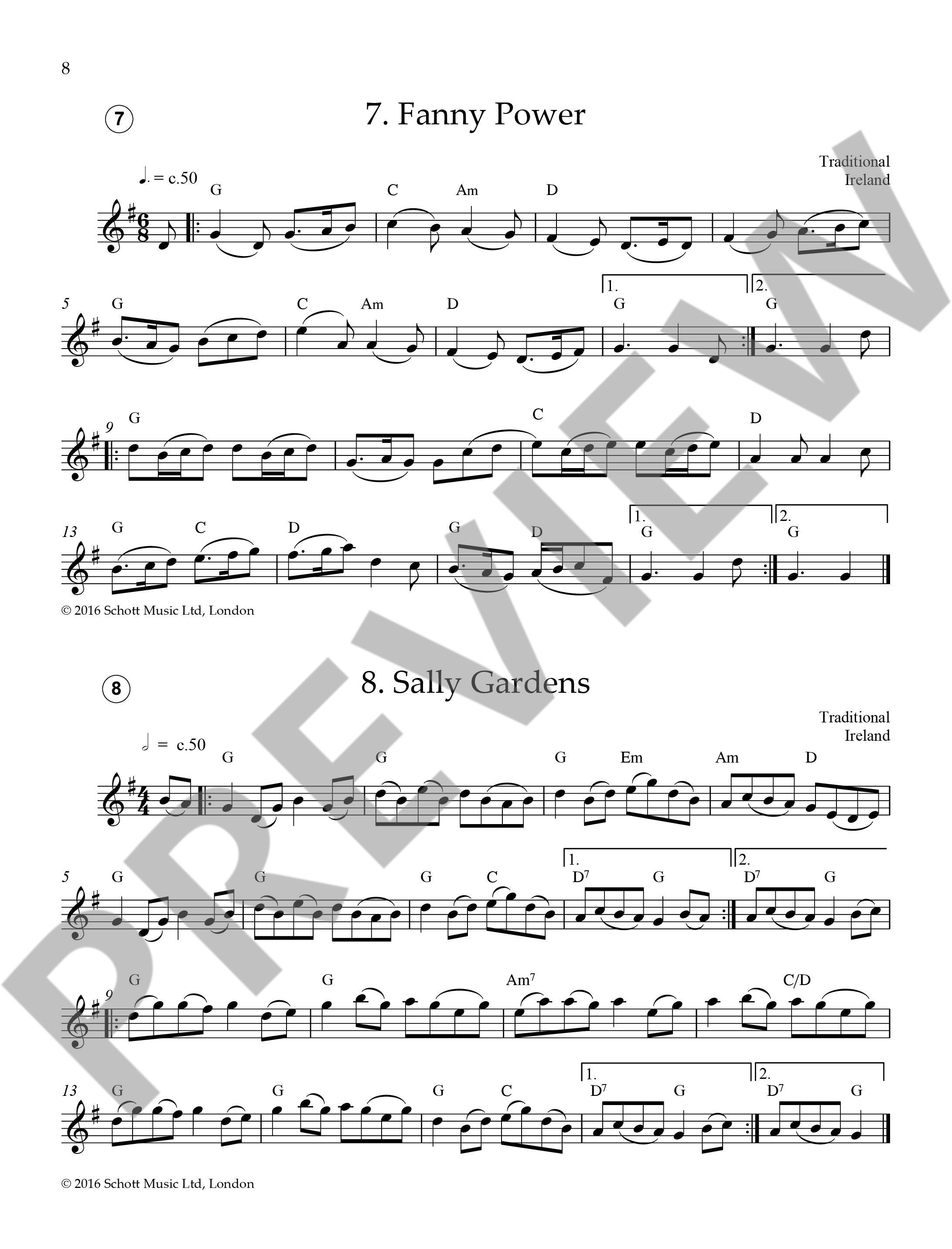 Anderes Coverbild Easy Folk Flute 