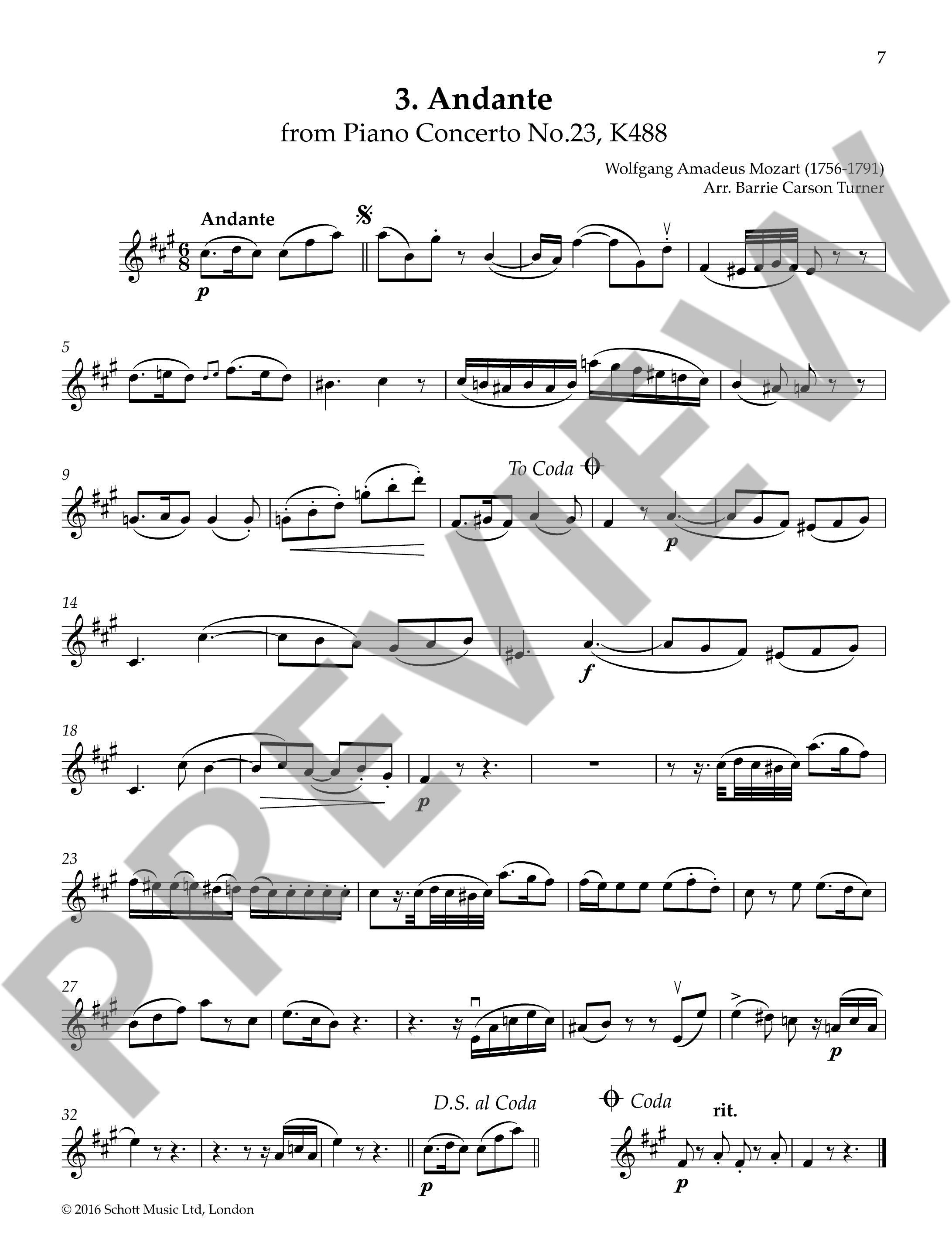 Anderes Coverbild The Violin Playlist 