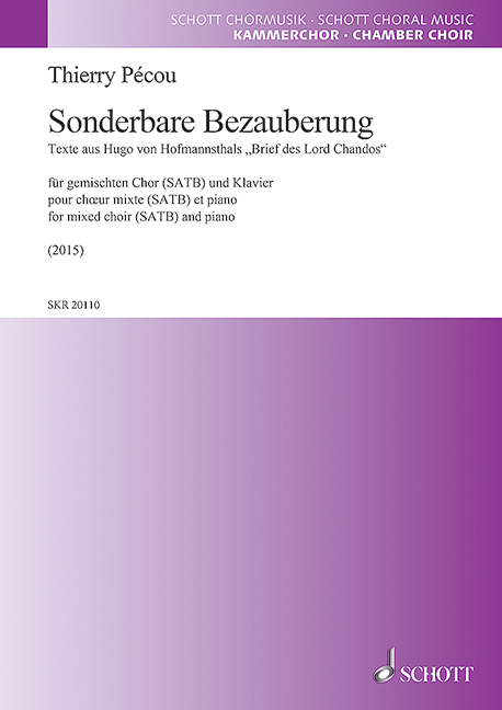 Vorderes Coverbild Sonderbare Bezauberung 