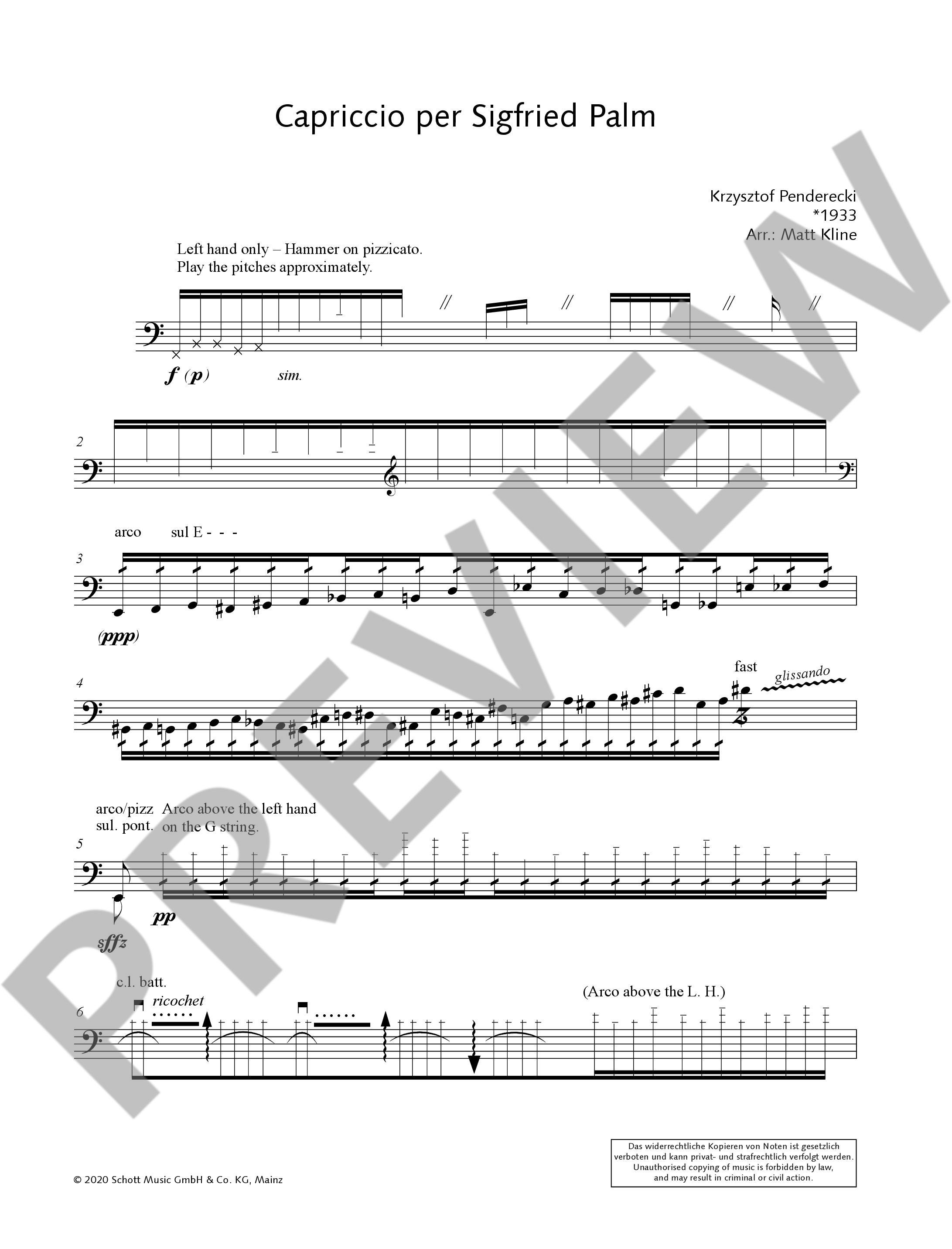 Anderes Coverbild Capriccio per Siegfried Palm 