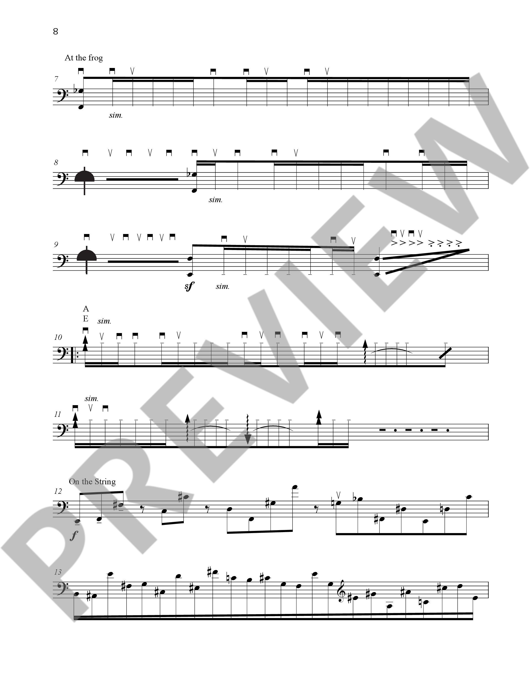 Anderes Coverbild Capriccio per Siegfried Palm 