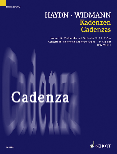 Vorderes Coverbild Kadenzen Hob. VIIb:1 Band 13
