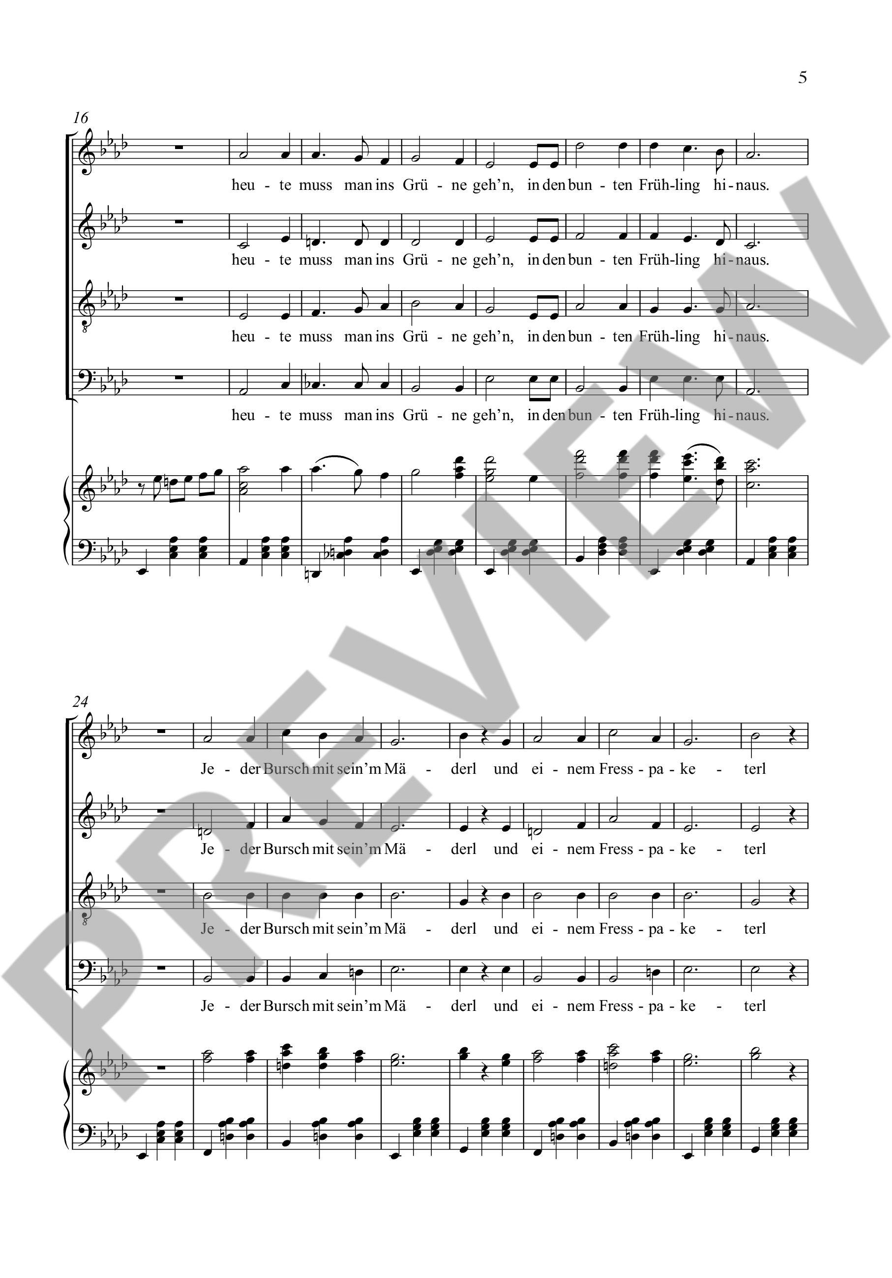 Anderes Coverbild Tauben vergiften im Park 