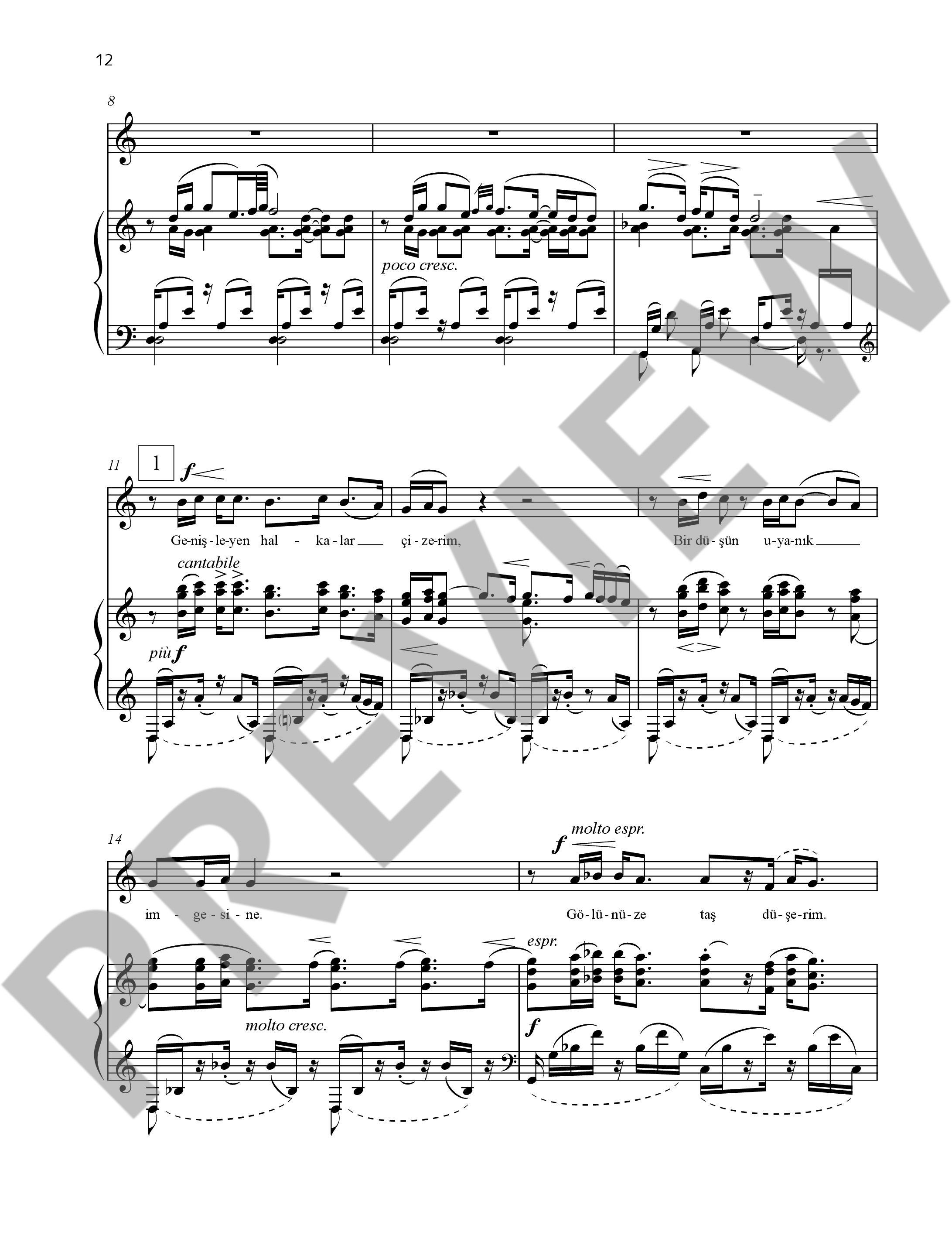 Anderes Coverbild ?lk ?ark?lar op. 5 / op. 47 