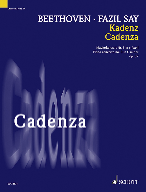 Vorderes Coverbild Kadenz op. 37 Band 14