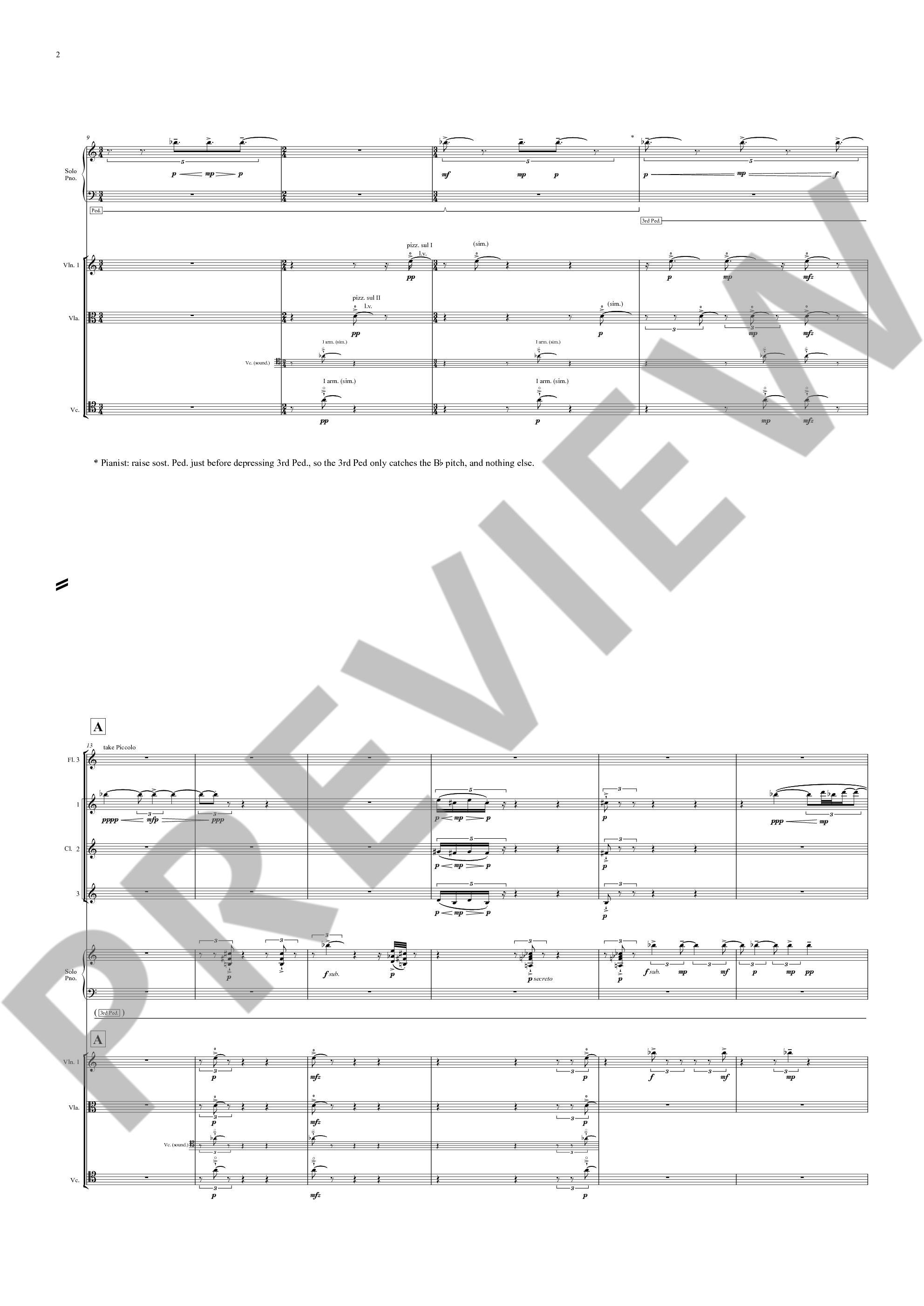 Anderes Coverbild The Imaginary Museum 