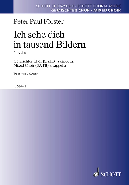 Vorderes Coverbild Ich sehe dich in tausend Bildern 