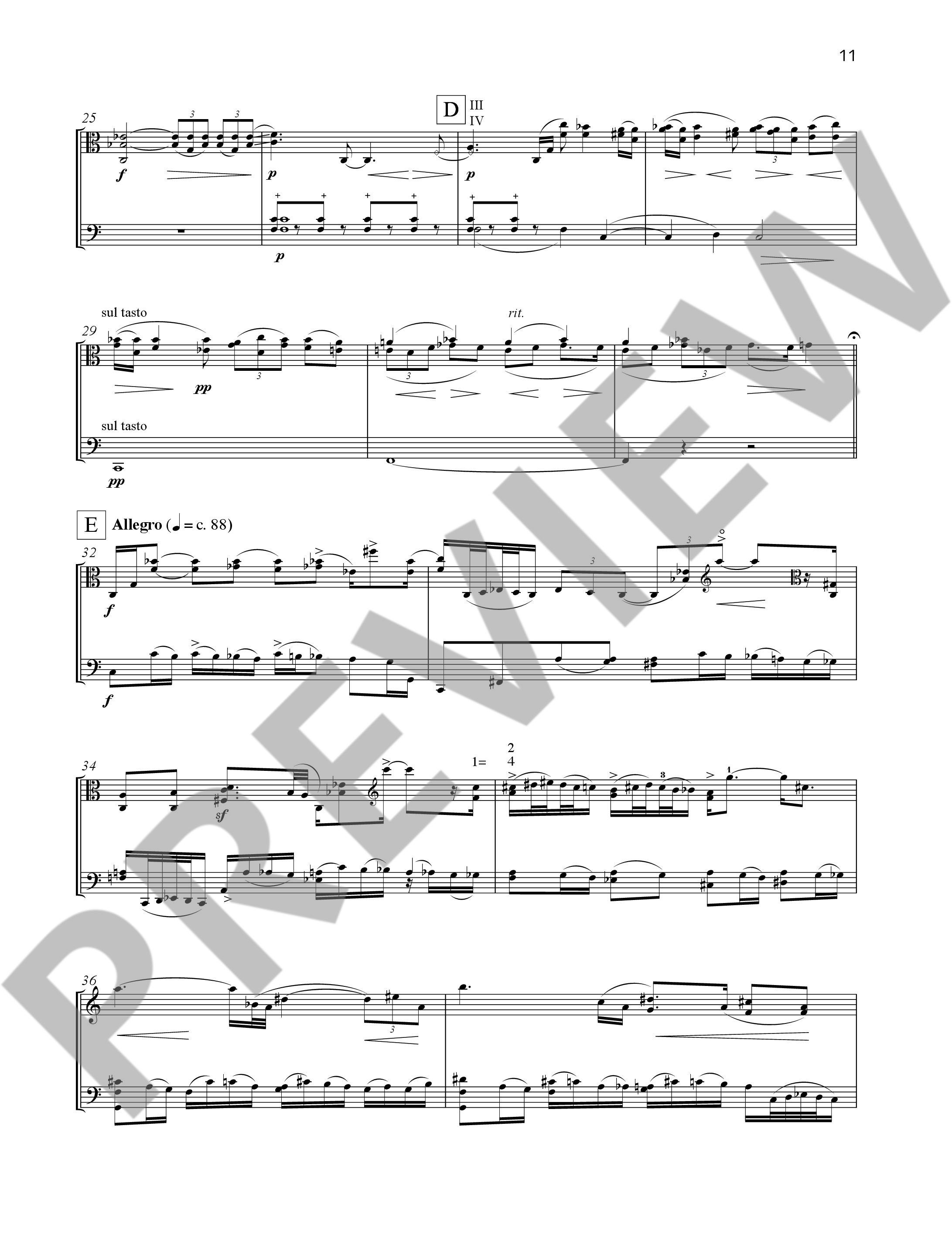 Anderes Coverbild Pocket Concerto 