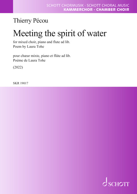 Vorderes Coverbild Meeting the spirit of water 