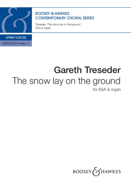 Vorderes Coverbild The snow lay on the ground 