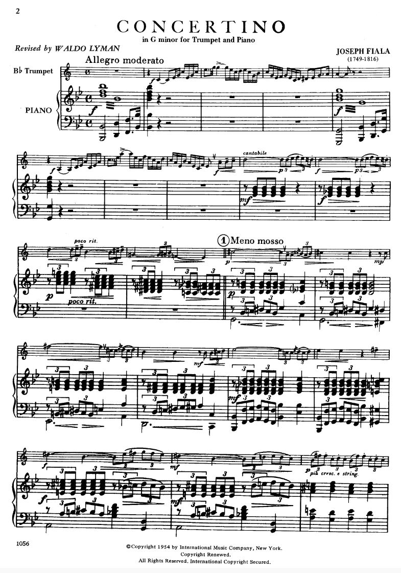 Anderes Coverbild Concerto in G minor 